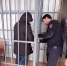 В Ставрополье братья осуждены за использование рабского труда - Юг России