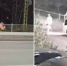 Появилось полное видео, как полуголый мужчина бегал по улицам Петрозаводска: он рыдал и пытался угнать автобусы - Gubdaily.Ru