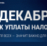 Не забудьте уплатить налоги до 1 декабря 2026 года - ЮФУ