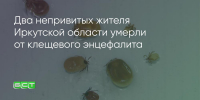 Поделитья во ВКонтакте - Братская Студия Телевидения