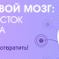 Присоединяемся к флэшмобу"Защити свой мозг: Дальний Восток безинсульта", Правительства Хабаровского края, Министерства здравоохраненияХабаровского края и Центра общественного здоровья и медицинскойпрофилактики, в честь Всемирного дня борьбы с инсультом! - Комсомольский район
