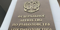 Росрыболовство: Рыбная отрасль столкнётся с пиковыми нагрузками на судоремонт - SeverPost.ru