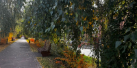 Сколько простоит аномальная осень в Татарстане - Чистополь-информ