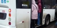 За поставку топлива для ростовских автобусов бизнесмену заплатили только после вмешательства прокуратуры - Big-Rostov.Ru