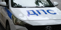 Астраханка сбила девочку на «зебре» и уехала в ветклинику к собаке - Ast-News.Ru