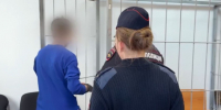 Заключена под стражу женщина, бросившая на помойке коляску с дочерью - КТВ-ЛУЧ