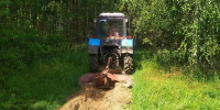 В орловских лесах снизилась вероятность пожаров - OrelGrad.Ru