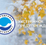 росгидромет-лого. - Город Шарыпово
