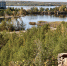 Челябинский городской бор станет больше на 1,5 гектара - Полит74