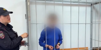 Мать брошенного у мусорки младенца в Самаре арестована на два месяца - Комсомольская Правда Самара