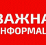 В связи с чрезвычайной ситуацией прием граждан в Государственном архиве - Архивная служба
