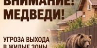 медведи. - Каратузский район