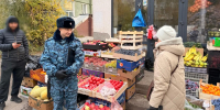 В Новосибирске приставы закрыли киоск за торговлю мимо кассы - Gorsite.Ru