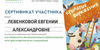 «Архипелаг»: прокачиваем библиотечные практики вместе»» - ЦБС г. Ялуторовска