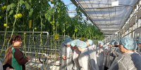 Педагоги агротехклассов знакомятся с производством - Государственный аграрный университет
