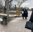 Надежда Кадышева и Zivert выступят в Нижнем Новгороде в День народного единства - ProGorodNN.Ru