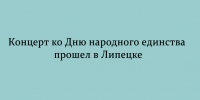 В Липецке состоялся концерт, приуроченный ко Дню народного единства - Народное слово
