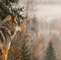 Картинка - Regions.Ru