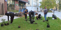 В Воронеже высаживают растения на улице Карла Маркса - РИА Воронеж