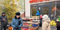 В Дзержинском районе Новосибирска судебные приставы приостановили работу фруктово-овощного киоска - УФССП Новосибирской области