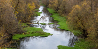 Картинка - Regions.Ru