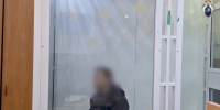 В Санкт-Петербурге заключен под стражу обвиняемый в убийстве женщины и малолетнего ребенка - Следственный комитет