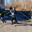 Пришкольные лагеря открыли свои двери - Шемышейский район