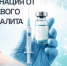 Октябрь - время вакцинации против клещевого энцефалита - Пыщугский муниципальный округ