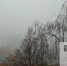 63-й регион окутает густой туман - TltGorod.Ru