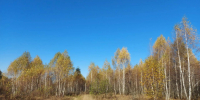 Теплый октябрь прощается с туляками - Молодой коммунар