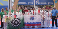 Кингисеппские спортсмены взяли 30 медалей на Кубке Карелии по тхэквондо - 47Channel.Ru