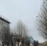 Улица осенью, пасмурное небо - Петрозаводск говорит