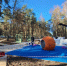 Картинка - Regions.Ru