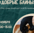 Ковчег приглашает принять участие в Акции «Добрые блины» - Свято-Троицкий собор