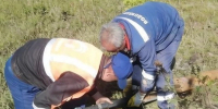 Белгородский водоканал заменил 80 насосов на объектах водоснабжения - Сетевое издание Победа 31