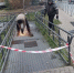 Начался ремонт пандуса у метро "Девяткино" - Муринское городское поселение