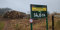 Картинка - Regions.Ru