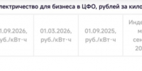 inshot_20261029_051933467 - Сетевое издание Владимирские новости