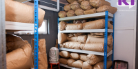 Голуби поселились на продуктовом складе в Печоре - суд закрыл помещение - ИА Комиинформ