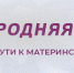 Amurlife - Amur.Life