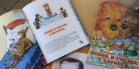 Мордвесский СБФ: «Животные рядом с нами» (6+) - Веневская библиотека