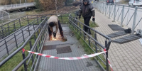 После новости 47news в Мурино ремонтируют пандус к метро и электричкам - 47 новостей