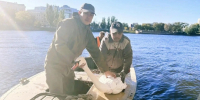 Пернатые обитатели астраханского Лебединого озера отправились на зимовку - Астрахань 24