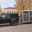 В Брянске заглянувшую в супермаркет корову вернули хозяину - БрянскToday.Ru
