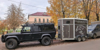 В Брянске заглянувшую в супермаркет корову вернули хозяину - БрянскToday.Ru