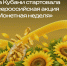 На Кубани проходит Всероссийская акция «Монетная неделя» - Администрация Ейского района
