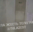 Тула жесть - ИА Тульские новости