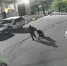 JPG Файл - УМВД Хабаровского края 