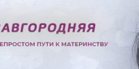 Amurlife - Amur.Life