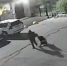 Хабаровчанина подозревают в краже детской коляски, которую он хотел подарить жене - ИА Хабаровский край сегодня